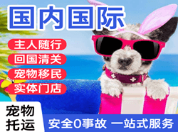 荆州沙市航空快运国际宠物托运 【国